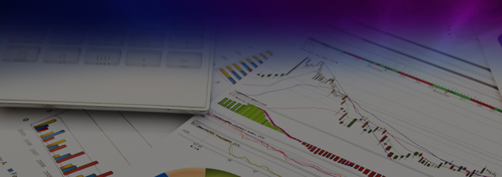 SharePoint portal development for PromiseLand