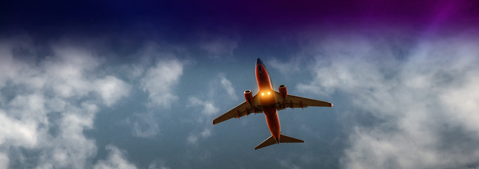 Tripanzee - B2B travel platform