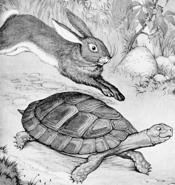 hare and tortoise