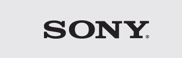 SharePoint portal development for Sony